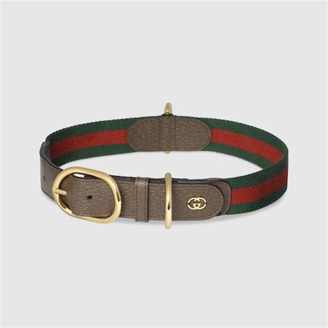 cat collar gucci|gucci dog collar large.